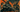 Best Helldivers 2 Warbonds to Buy First